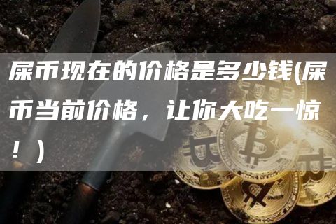 屎币现在的价格是多少钱 - 屎币当前价格，让你大吃一惊！
